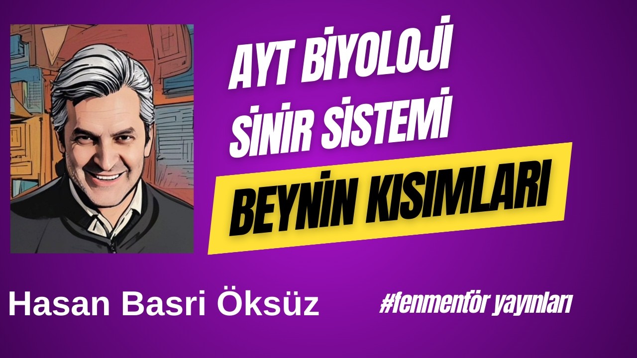 Sinir Sistemi | Beynin Kısımları | AYT Biyoloji Konu Anlatımı #fenmentöryayınları 