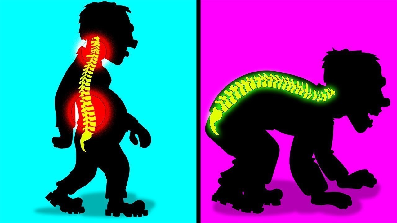 Your Body Is A Design Disaster