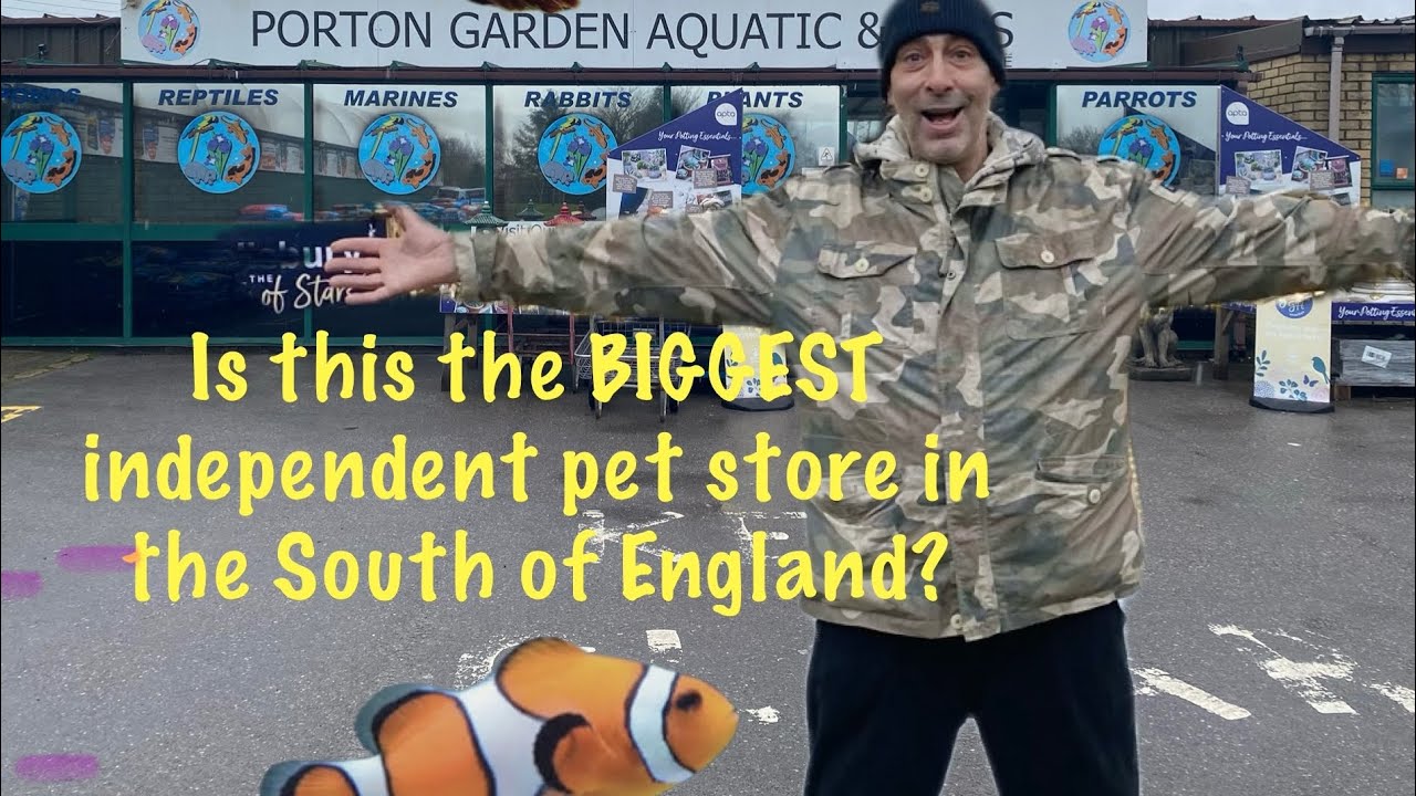 Is this the BIGGEST pet store in the South of England? 😮 