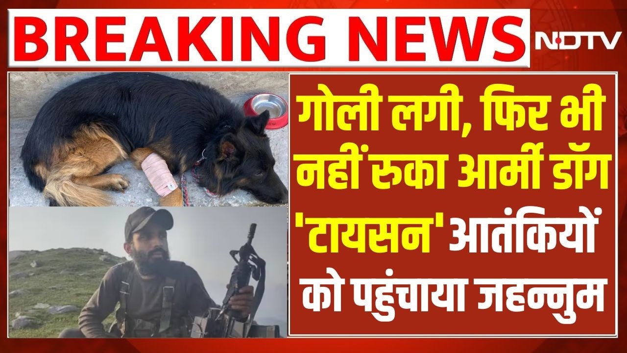 LIVE | Kishtwar encounter : गोली लगी, फिर भी नहीं रुका 'टायसन' आतंक‍ियों को पहुंचाया जहन्नुम