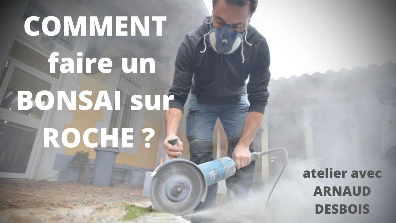 Atelier BONSAÏ sur ROCHE