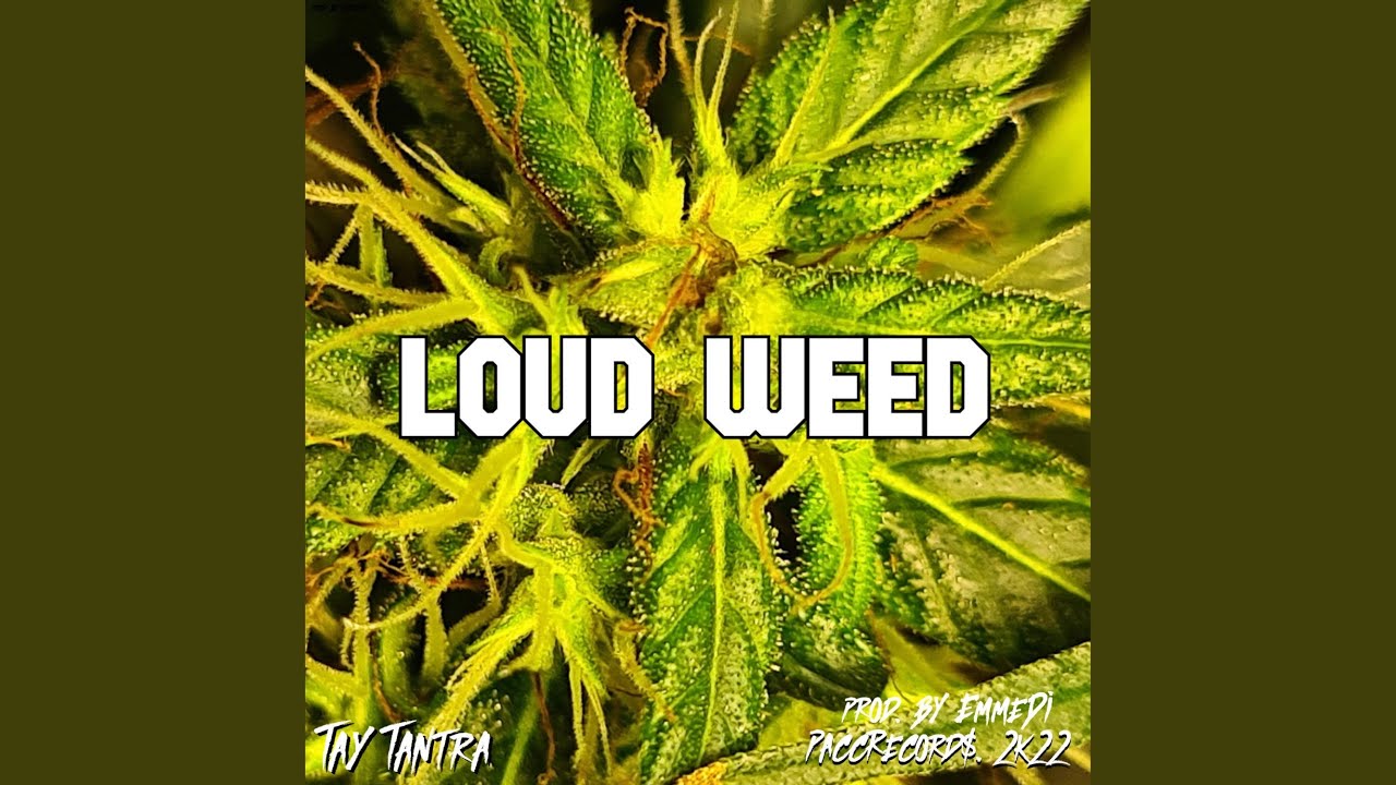 LOUD WEED