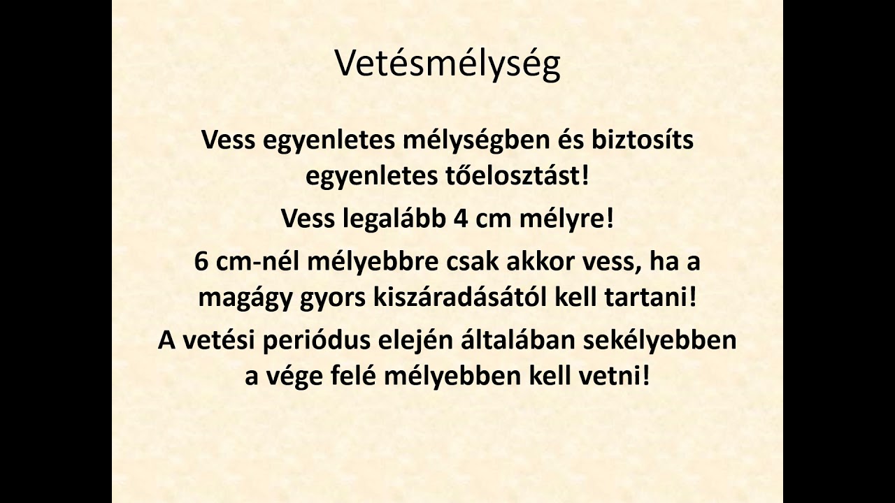 Integr&aacute;lt kukoricatermeszt&eacute;s