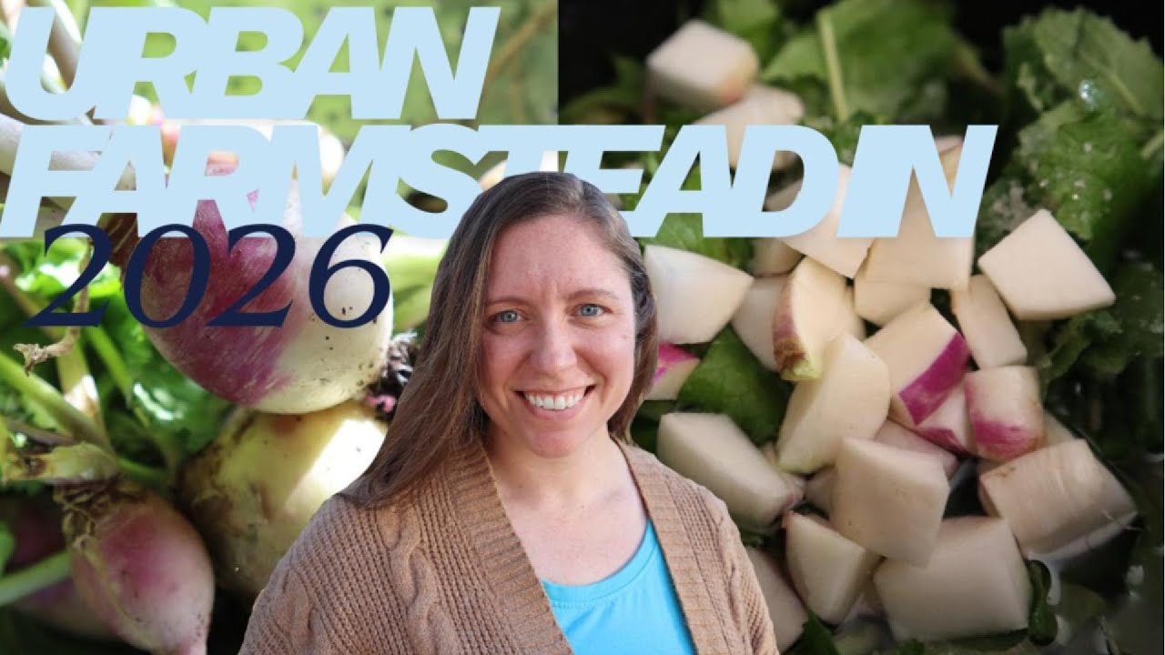 Working mom? Think you are too busy to start urban homesteading? My top tips!