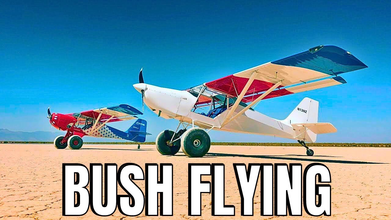 Топ-5 самых дешевых самолетов Bush Airplanes — полный анализ стоимости и характеристик