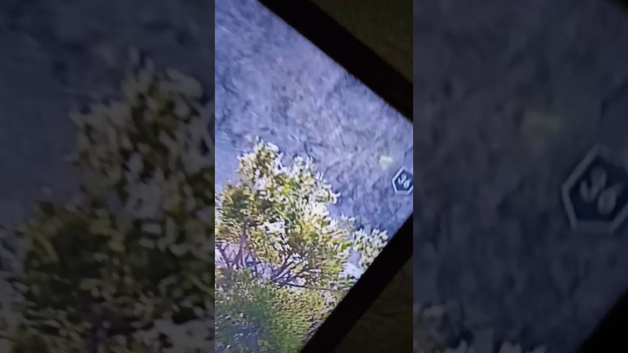 كيف تلفل بسرعه في اساسن كريد اودسي