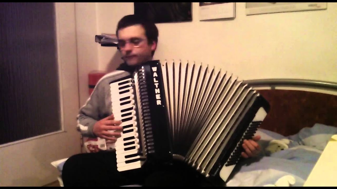 Dansul Pinguinului Akkordeon/Accordion