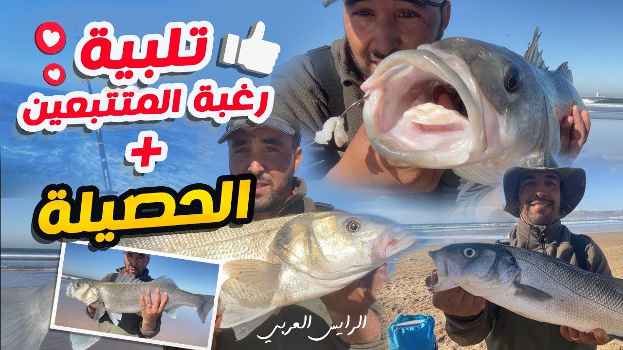 صيد سمكة الدرعي رفقة الرايس حسن +منتاج بتفصيل