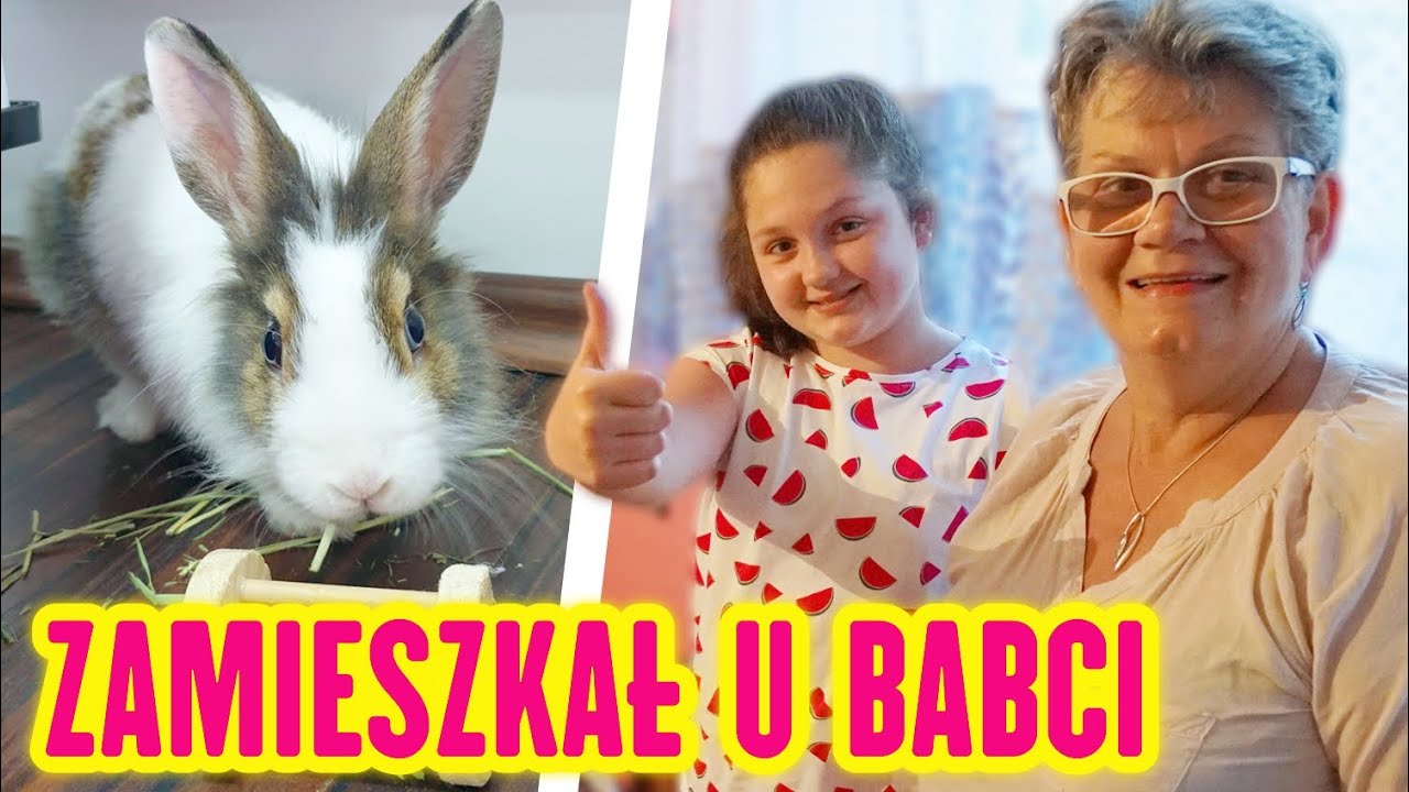MÓJ KRÓLICZEK ZAMIESZKAŁ U BABCI 🐇 CZY JA TO WYTRZYMAM ❓ MISIA I JA
