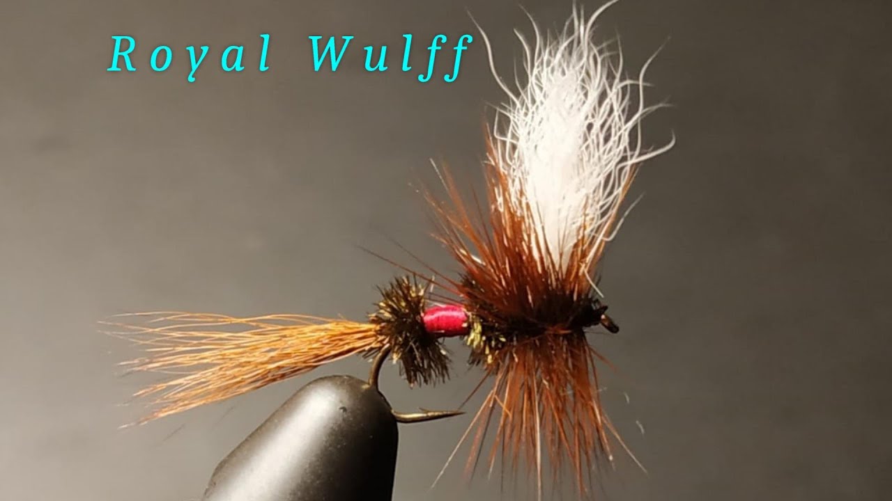 Costruzione Royal Wulff - Royal Wulff tying  - Tyer P. Lucchini - Subt. (ITA /ENG)