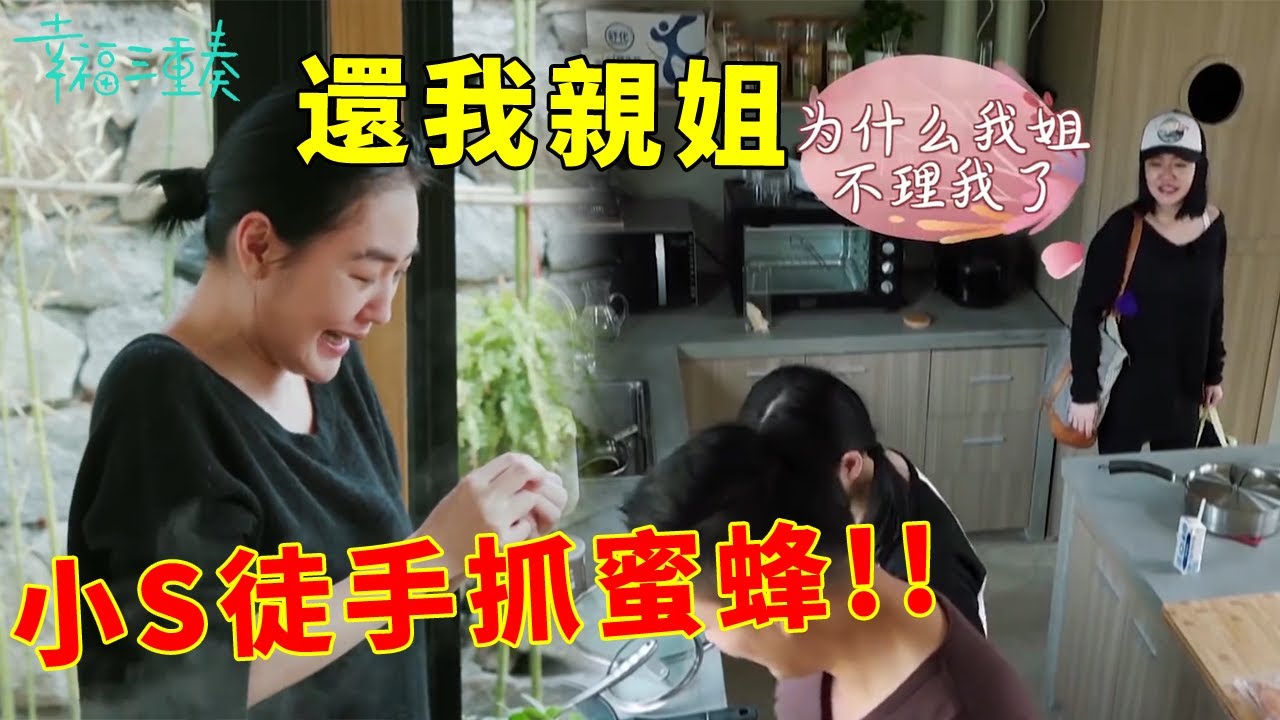 ❤️小S跟汪小菲爭寵不停，膽子太大徒手抓蜜蜂，結果被盯嚇壞眾人 | 幸福三重奏第一季【大S 汪小菲】