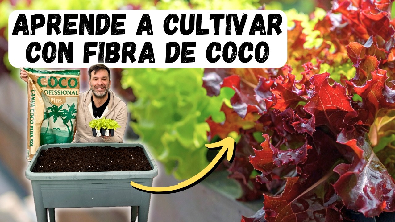 INICIAR una MESA DE CULTIVO paso a paso 🥬 con SUSTRATO de fibra de coco || en20metros