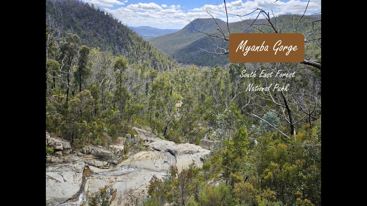 Myanba Gorge ~ South East Forest National Park NSW