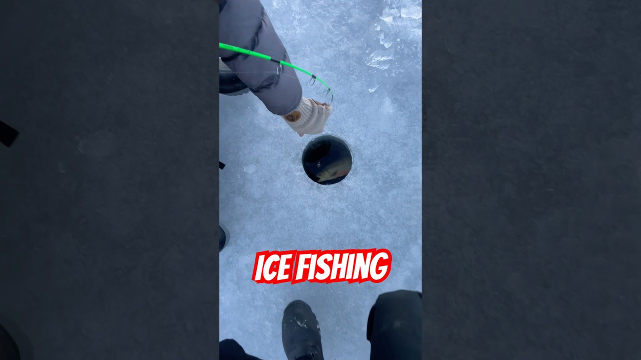Ice fishing #char #fishing #icefishing #pimpla #fiske #r&ouml;ding #isfiske