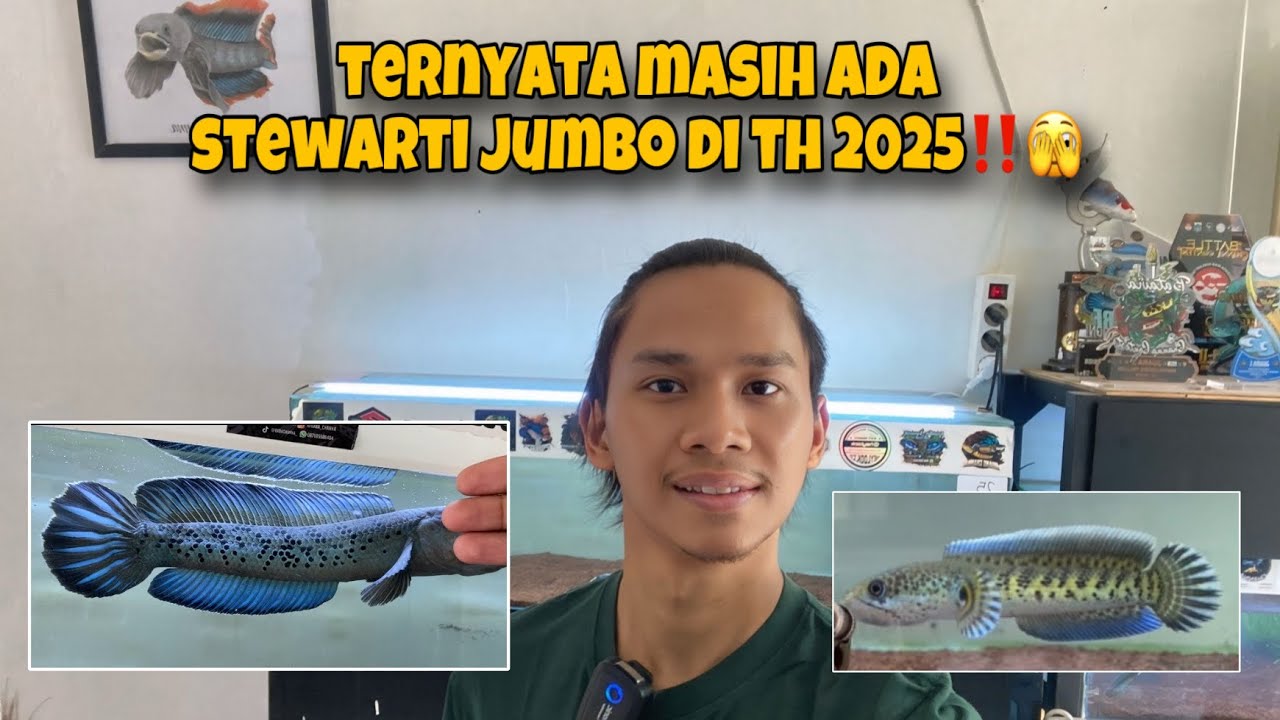 CHANNA STEWARTI JUMBO MASIH ADA DI TH 2025‼️