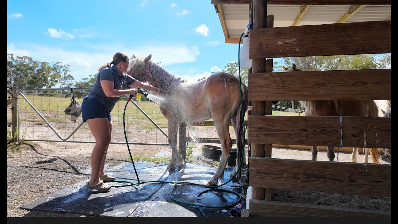 spend some time with me at the horses