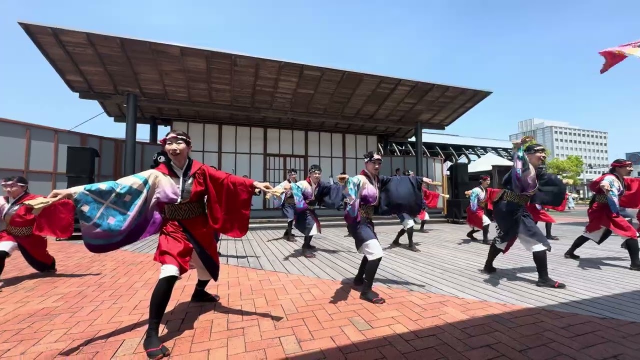 [4K60FPS]たびひろよさこい「國士舞双」