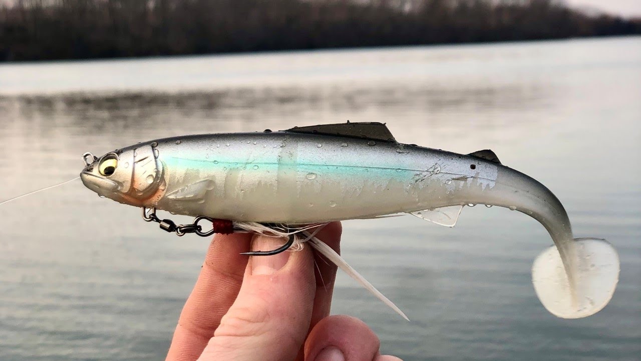 FIRST Time Fishing HUGE Swimbait goes BETTER than EXPECTED (Megabass Magslowl)
