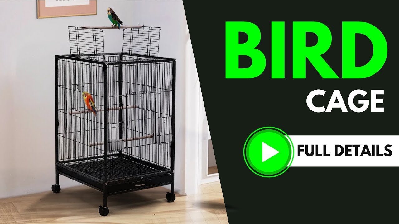 BURAQ Pets 30 Inch Bird Cage