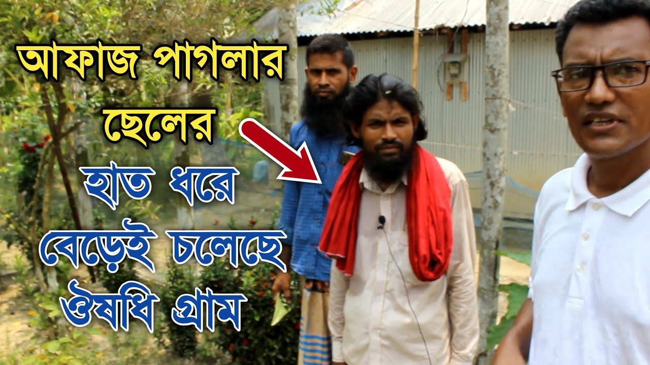 নাটোরের আফাজ পাগলার ঔষুধি গ্রাম ঔষুধি বাগান ও ঔষুধি ফ্যাক্টরি।  ঔষুধি গাছের চারা কোথায় পাবেন।