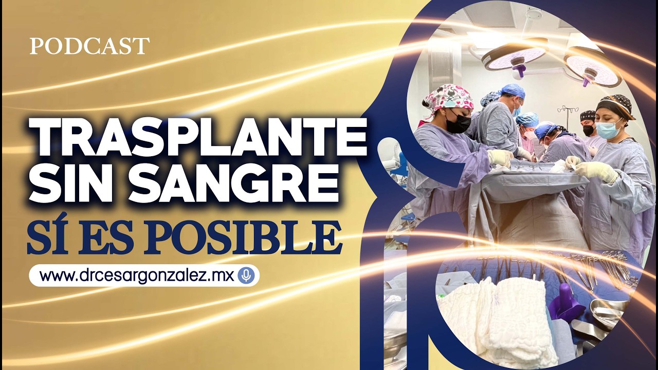 Trasplante Sin Sangre: ¿Riesgo o Avance Médico?