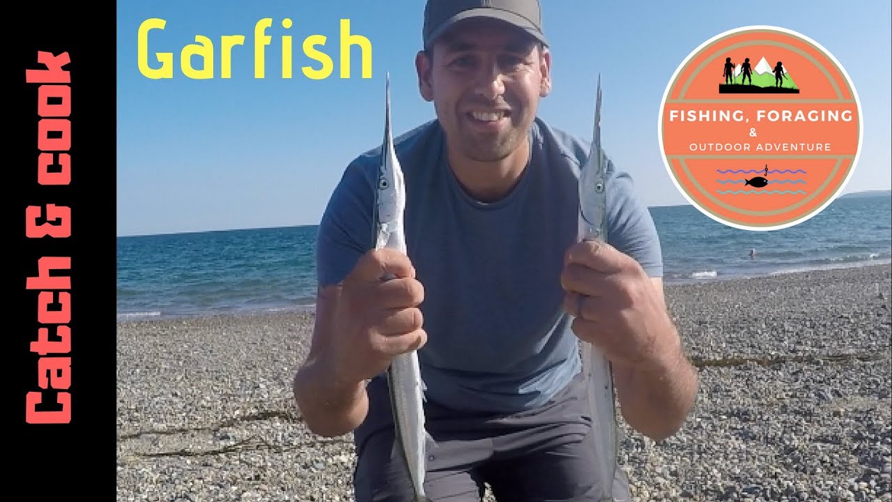 CATCH & COOK - Pwllheli Garfish