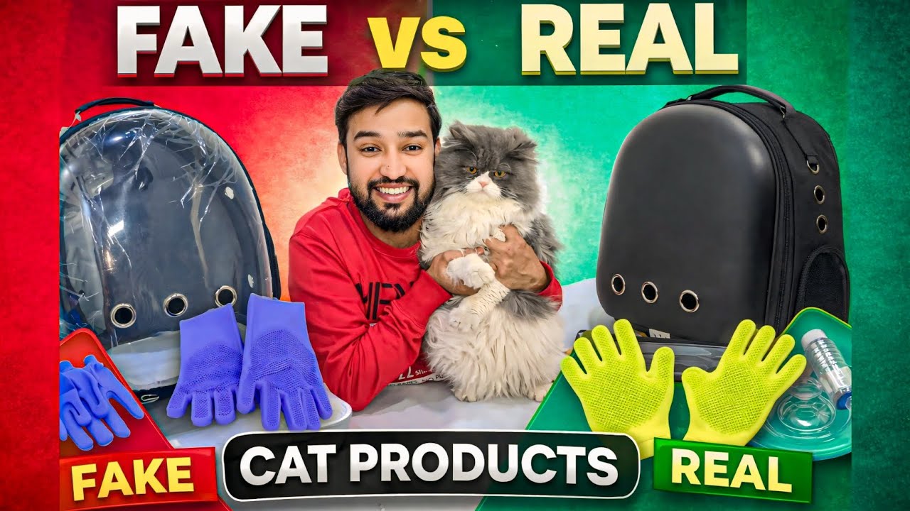 Viral Cat Products Review?😧