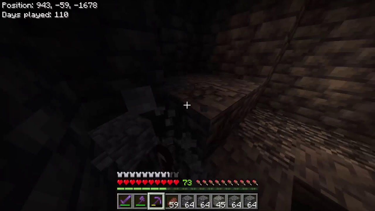 CHILL mincraft live