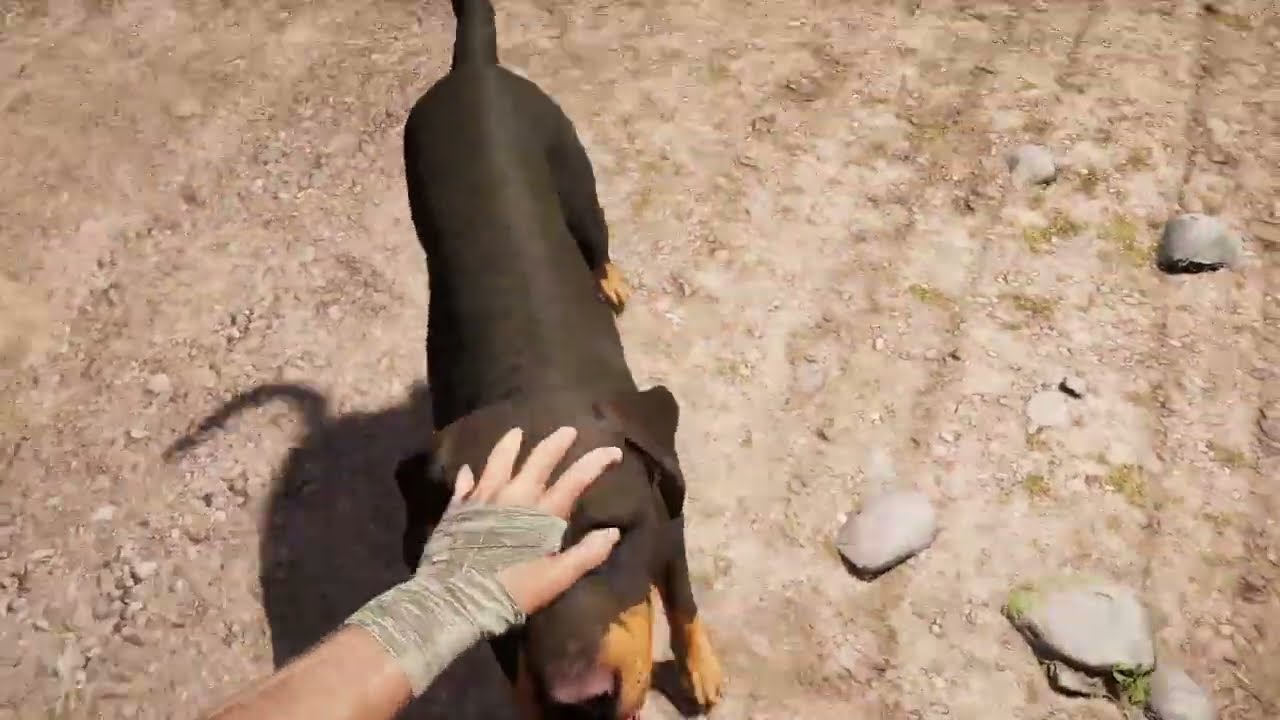 Far Cry® 5