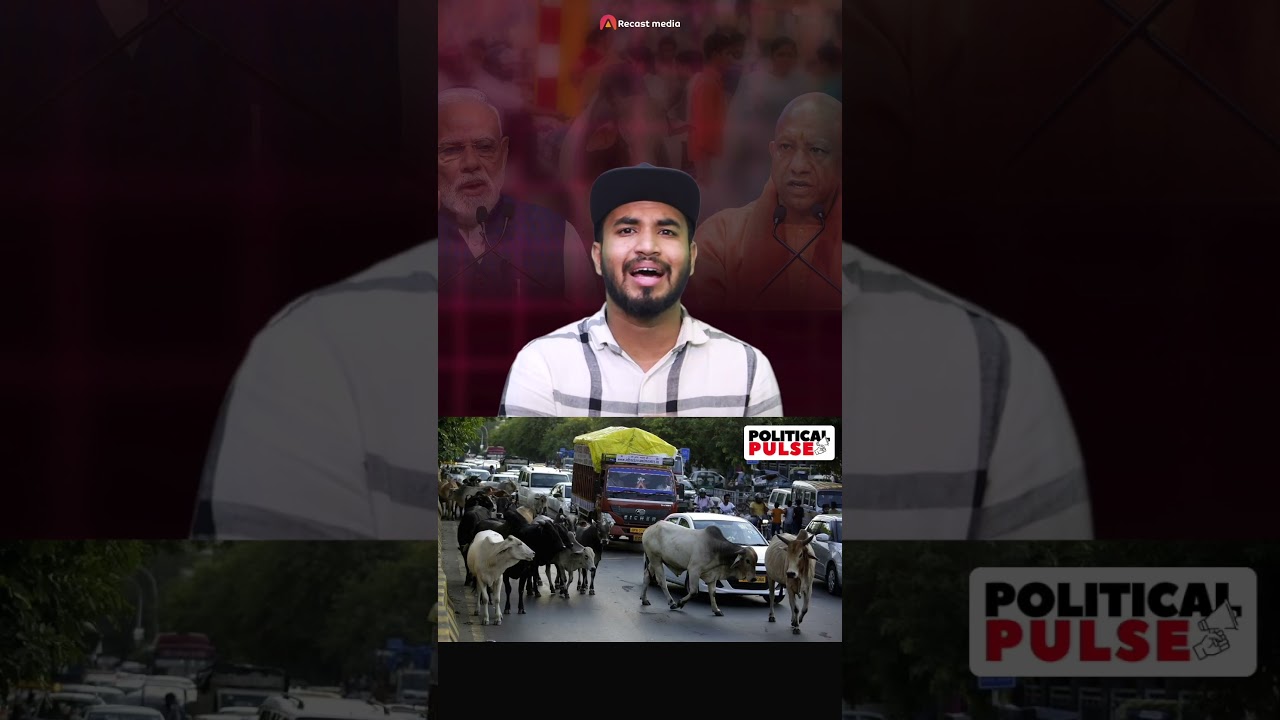 Indian Muslims are rocking...! #bangal #cow #india