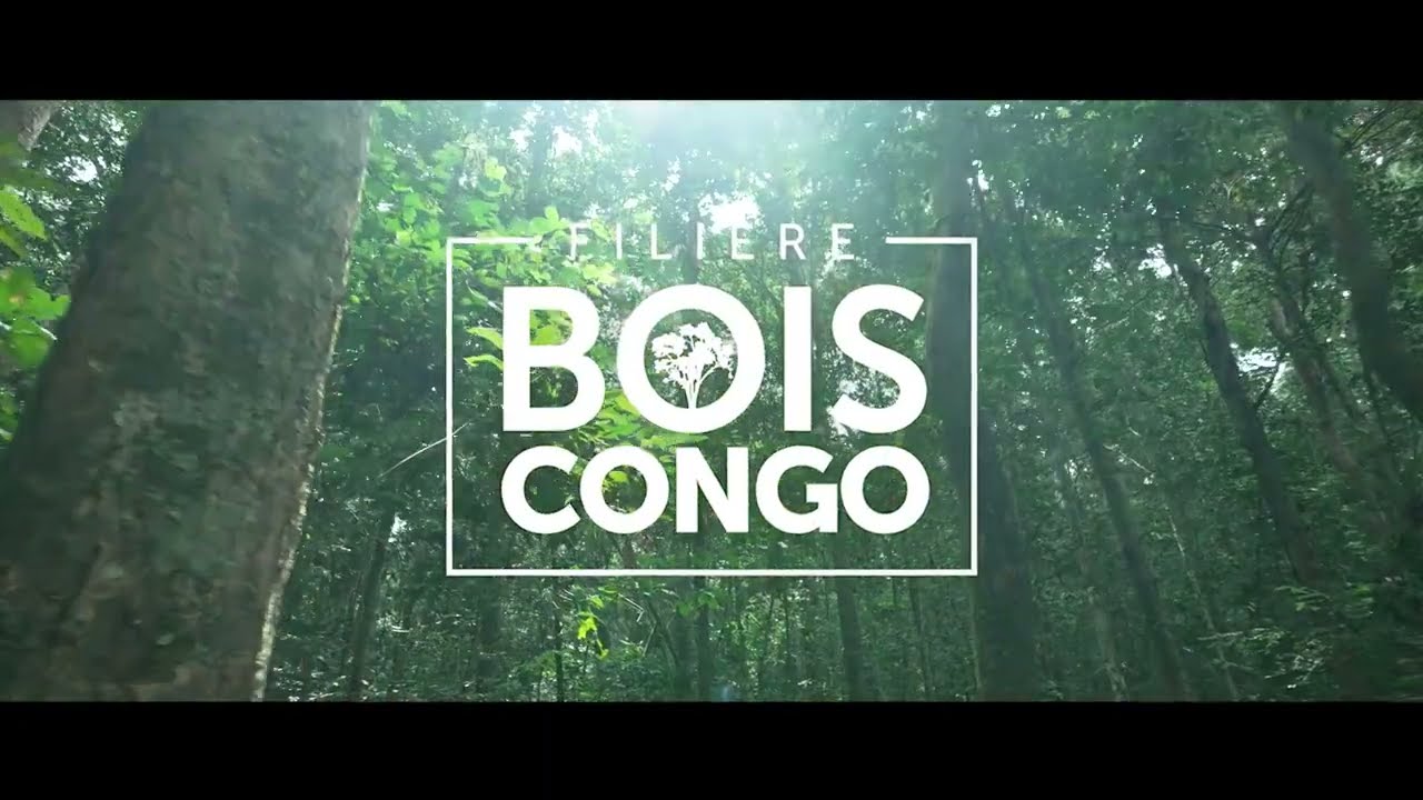 Filière Bois Congo