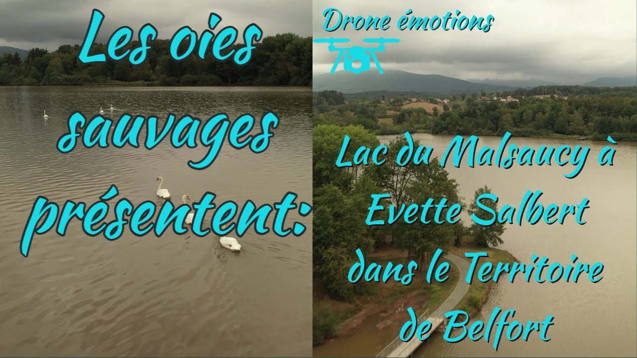 Belfort, Le Lac du Malsaucy, à Evette Salbert dans le Territoire de Belfort