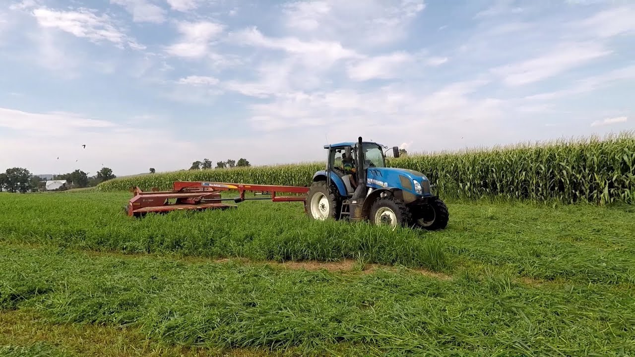 4th Cutting Hay and Hoof Trimming