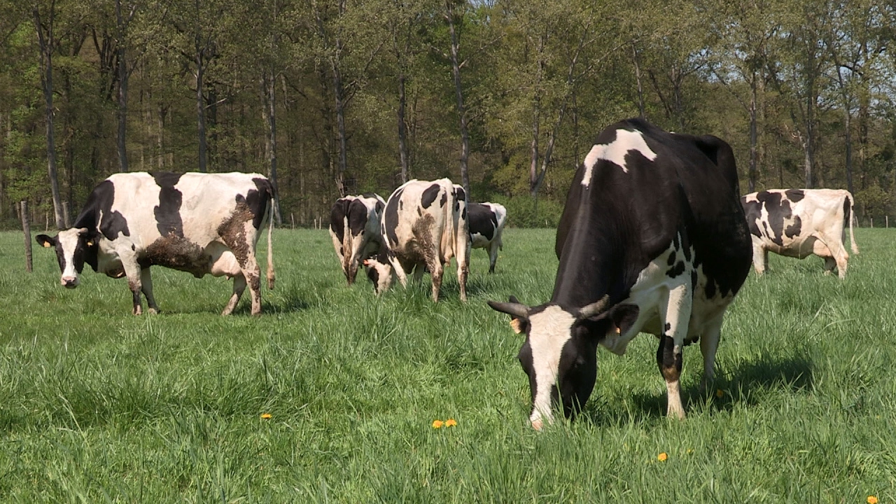 L'agro-écologie à la Bergerie nationale