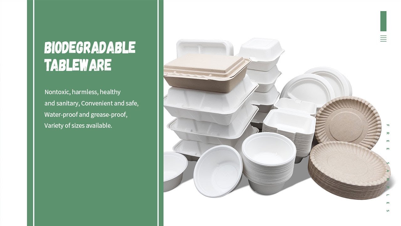 #Paper #Tray #Disposable #Trays #Biodegradable Food #Tray Sushi Disposable #Tray 5 Compartment #Tray