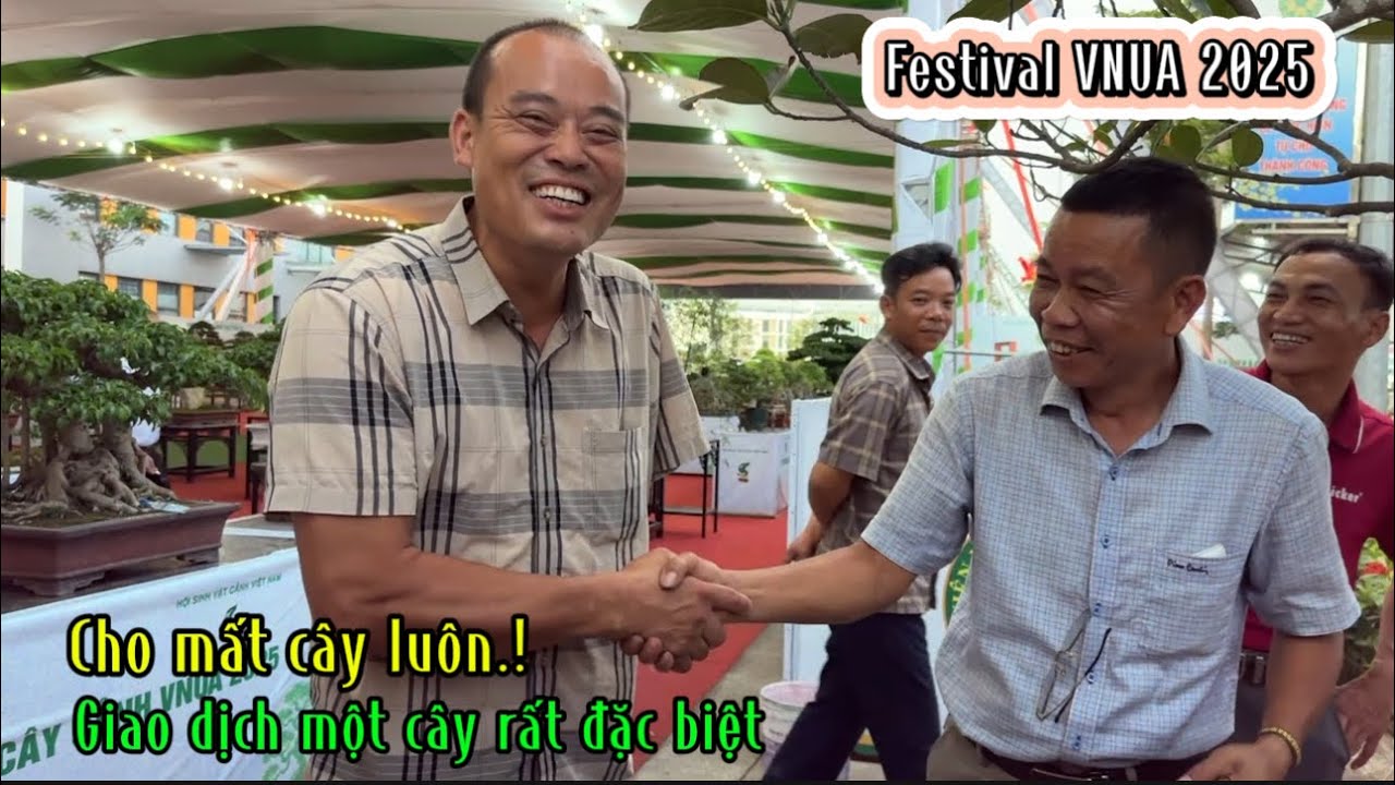 Quảng Tùng| CHO MẤT CÂY LUÔN ..! Giao dịch một cây rất đặc biệt Festival VNUA 2025