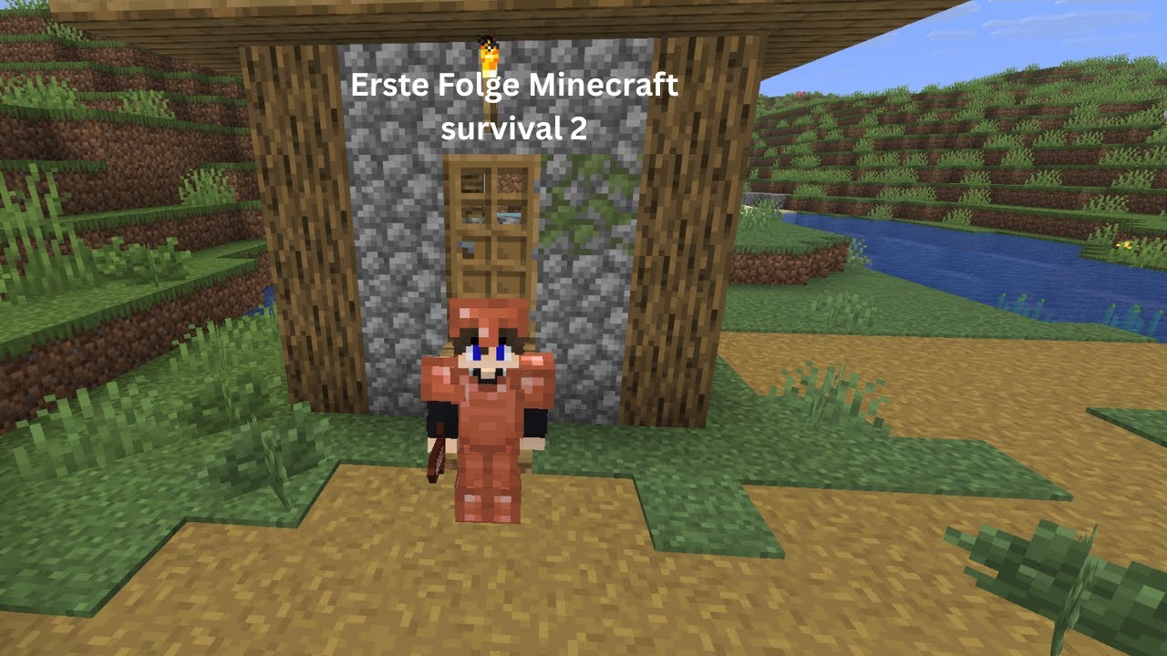 Erste folge Minecraft survival 2