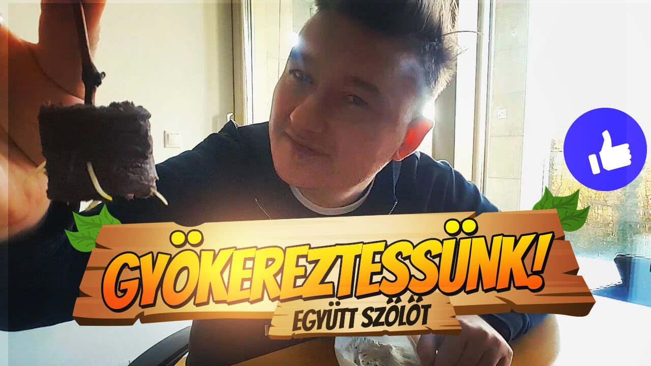 🍇 Szőlő gyökereztetés. Biztos módszer !!!