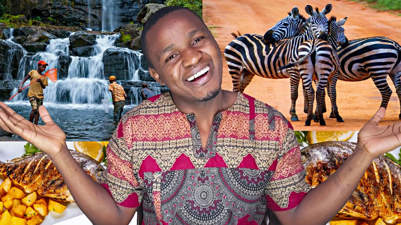 8 COISAS INCRÍVEIS QUE OS BRASILEIROS  DEVEM SABER SOBRE MOÇAMBIQUE 🇲🇿🇧🇷 | calton pedro