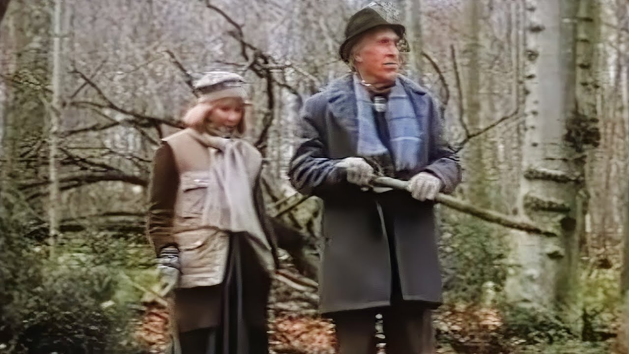 1988 Драма — Рождественская жена — Вдовец, не желающий встречать свое первое Рождество в одиночестве