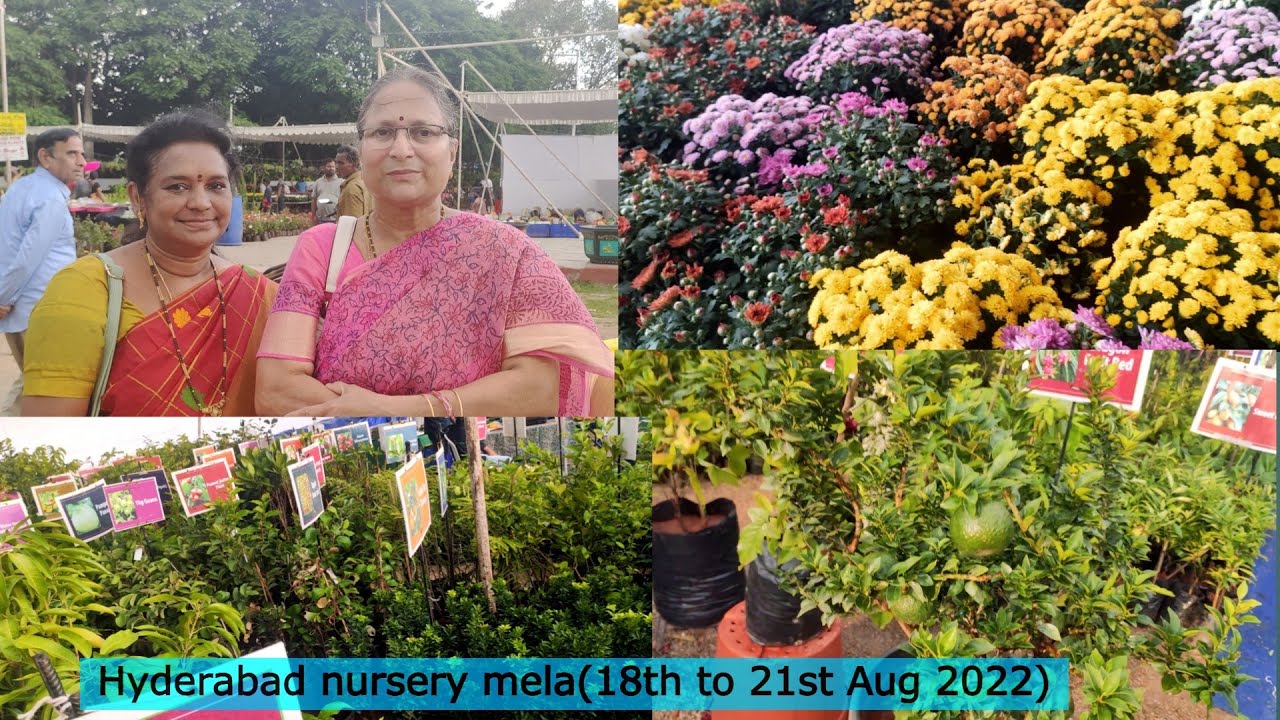 12th grand nursery mela Hyderabad | nursery mela peoples plaza necklace road hyd | Nursery Mela 2022