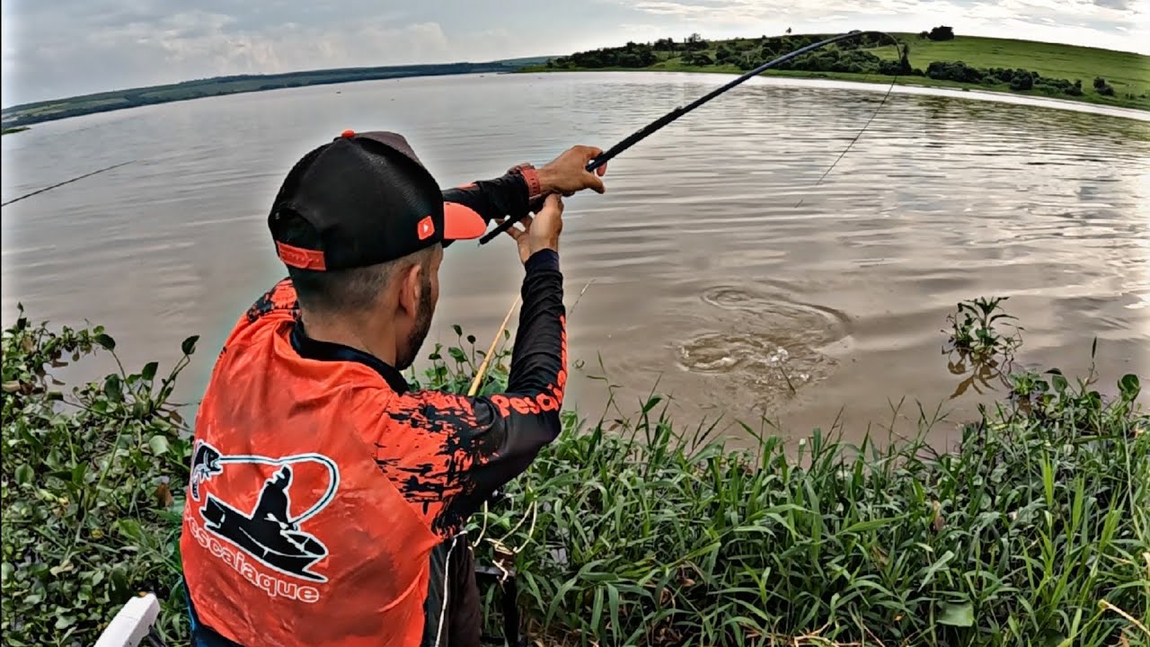 FOI SÓ COLOCAR UMA VARA CURTA E ISSO ACONTECEU! Pescaria de Piauçu, pacu e piapara