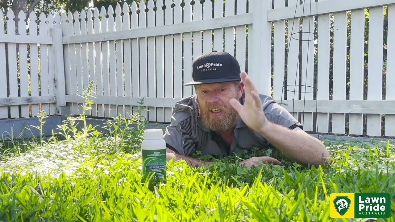 How To Get Rid Of Broadleaf Weeds