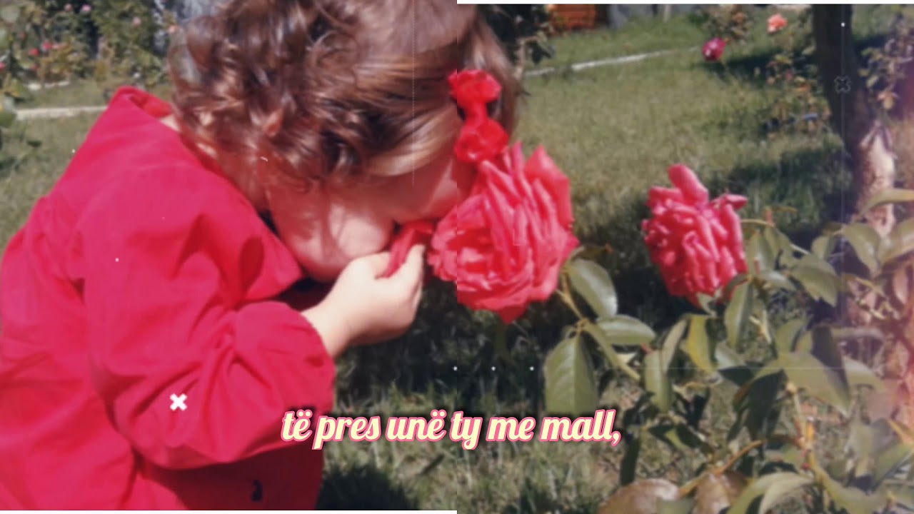 DANJA GREMI - MIK I ZEMRËS