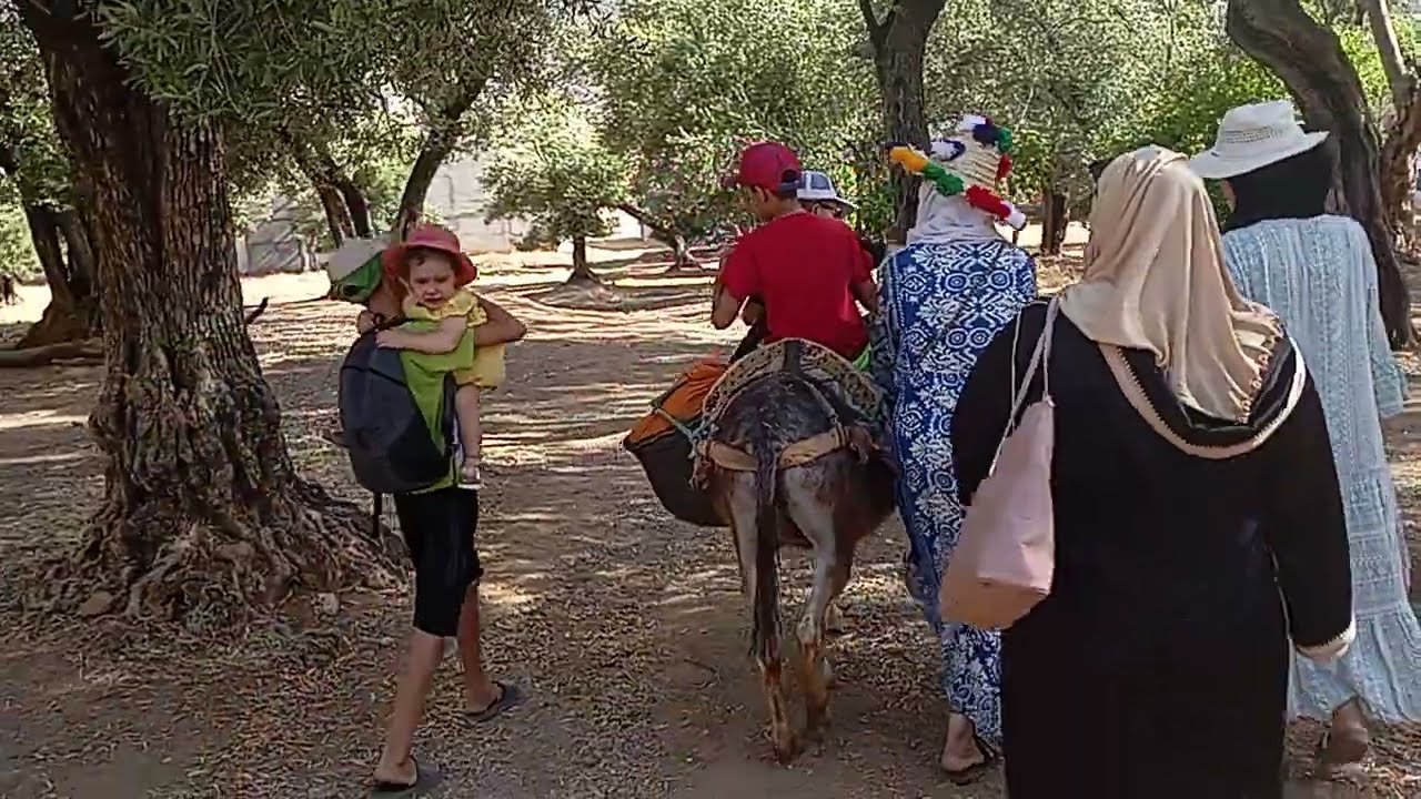 الطريق الى سوق بني وليد إقليم تاونات،تقاتلو شكون يركب على 🐎🐎🐎🐎