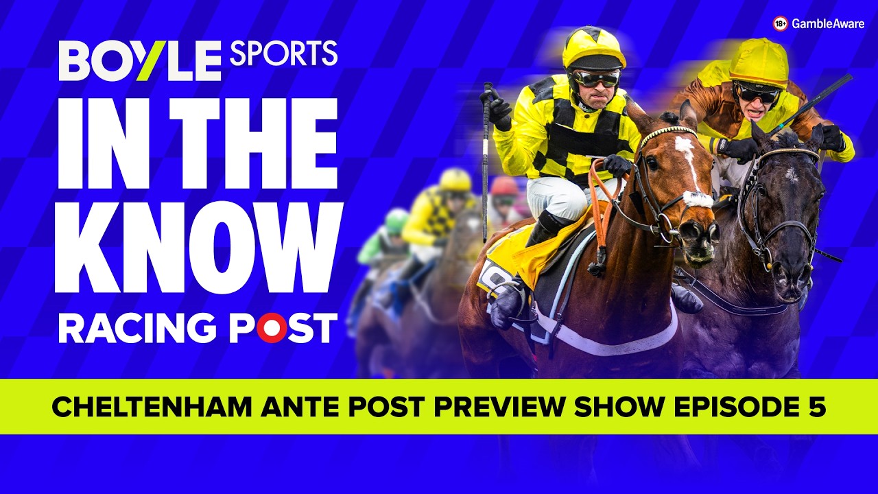 Cheltenham Festival Ante-post Handicaps Preview | Tips from Paul Kealy & Tom Segal | In The Know