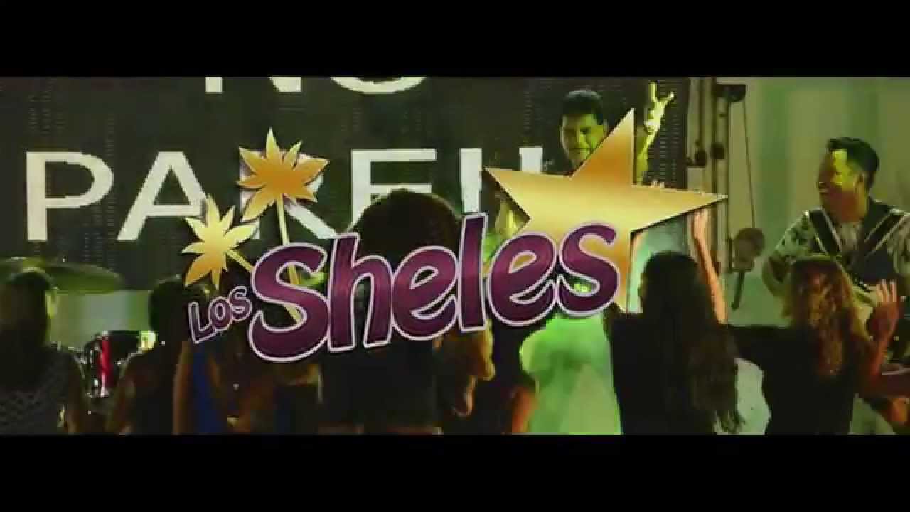 QUE NO PARE....LOS SHELES.....Video Oficial