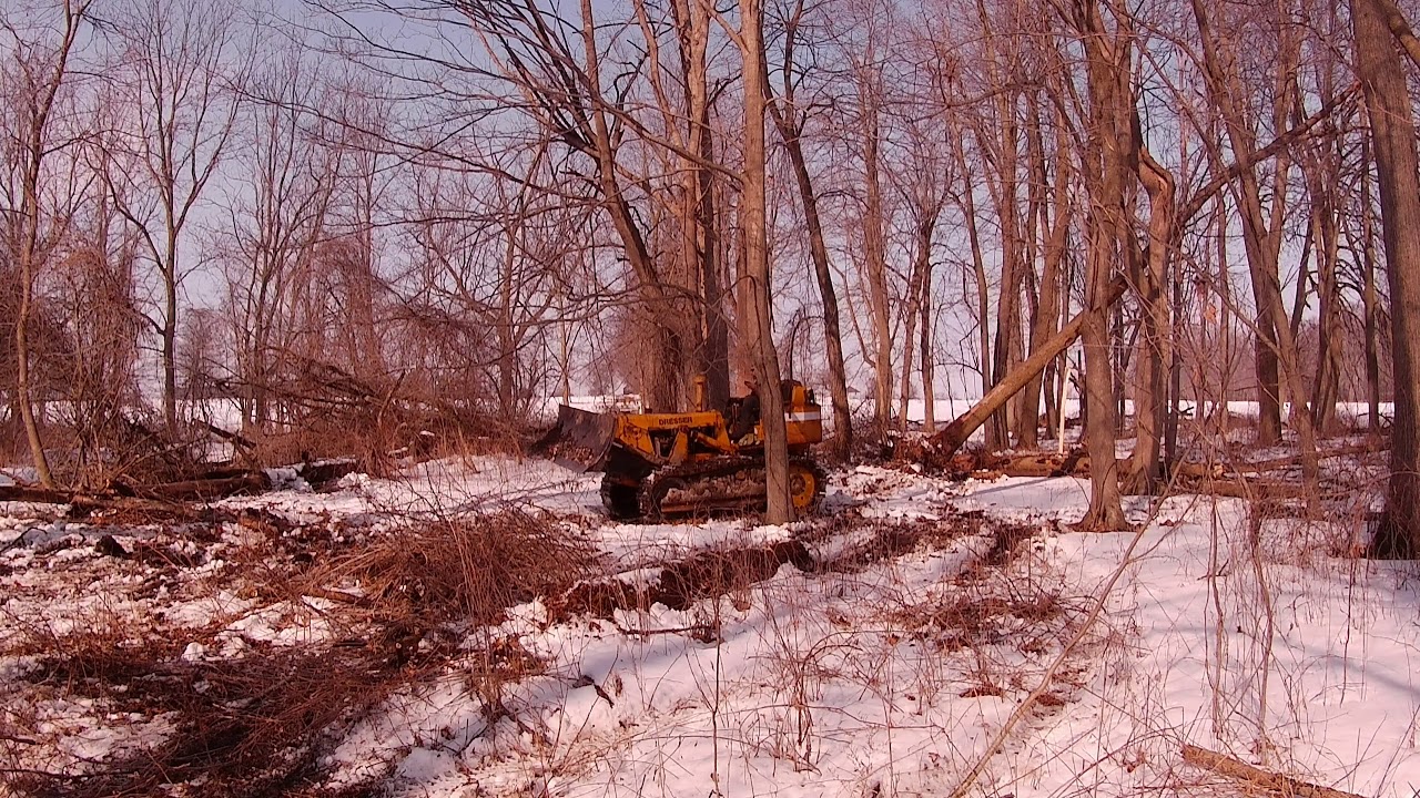 TD-7 Dozer pushing brush and pulling logs