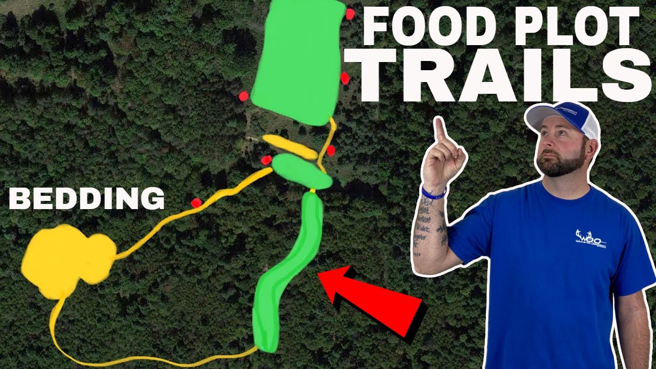 Design Deer Food plot Trails That WORK!