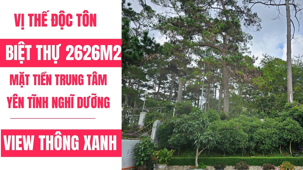 SIÊU PHẨM HƠN 6 TRIỆU ĐÔ CHO CĂN BIỆT THỰ SÂN VƯỜN 2600M2 NGAY TRUNG TÂM ĐÀ LẠT CÓ GÌ